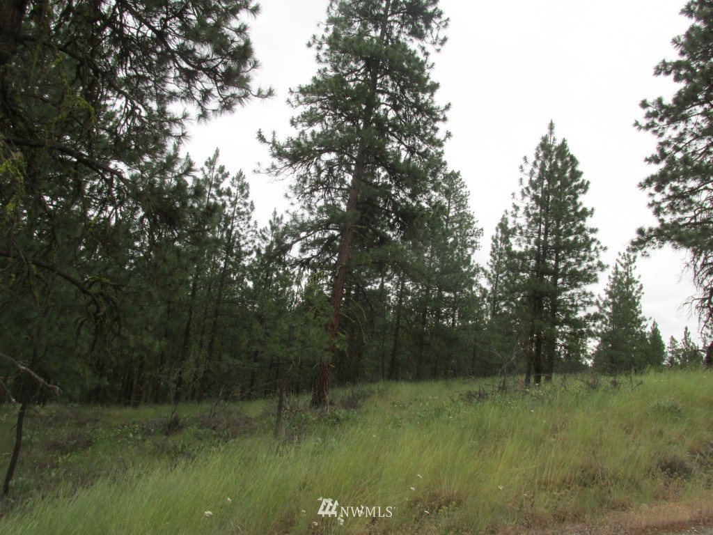 23 Balsamroot Road Winthrop, WA 98862 - Photo 10 of 14 Gallery Image 10