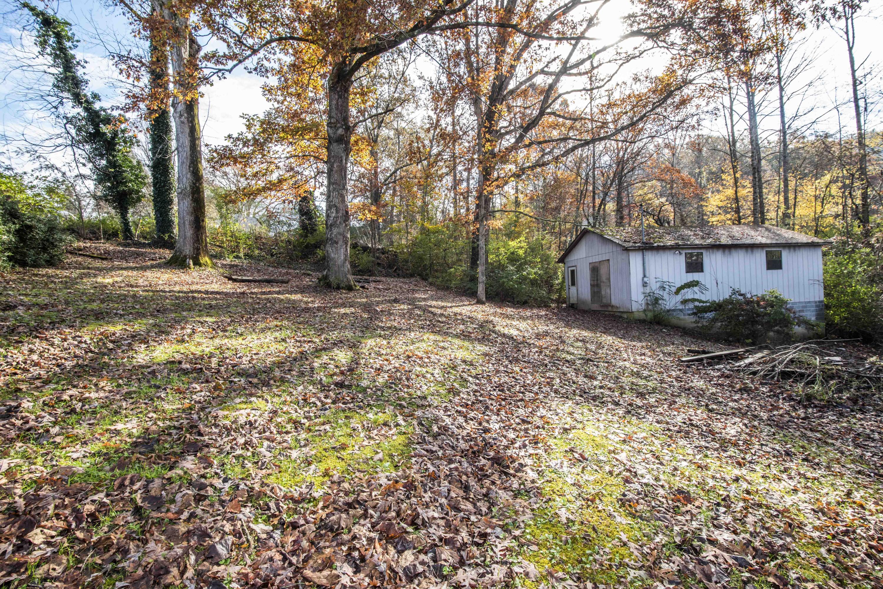 7710 Chestnut Hill Road Townsend, TN 37882 - Photo 35 of 38 Yard 1_1