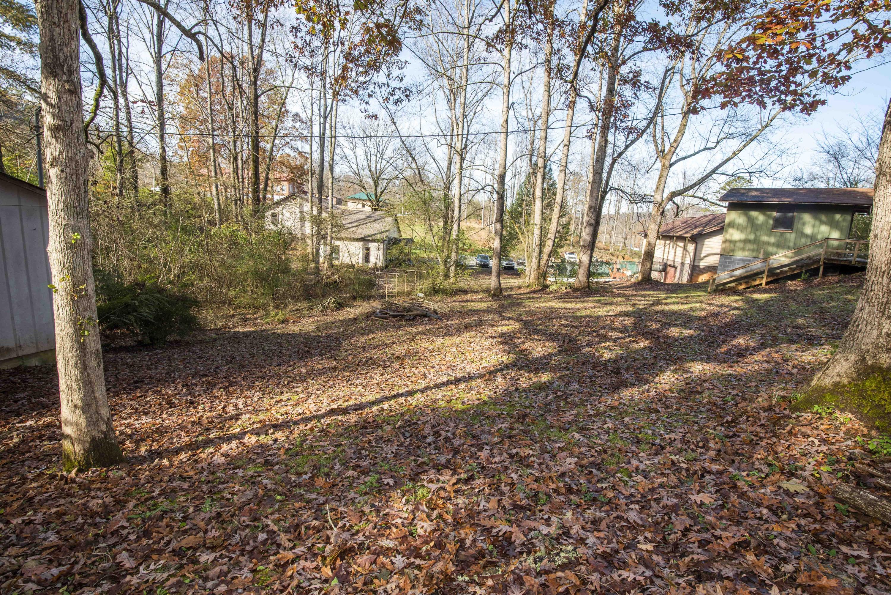 7710 Chestnut Hill Road Townsend, TN 37882 - Photo 36 of 38 Yard 2_1