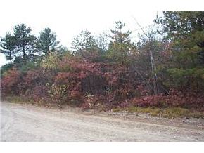8 Blueberry Road Ossipee, NH 03814 - Photo 2 of 2
