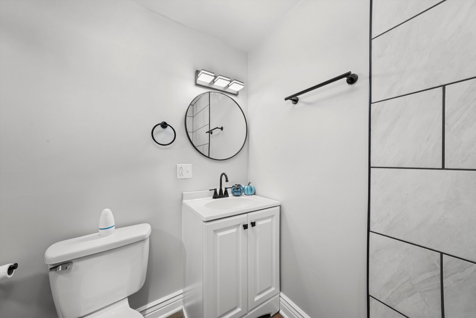 7917 South Ellis Avenue Chicago, IL 60619 - Photo 22 of 33 a bathroom with a sink mirror and toilet