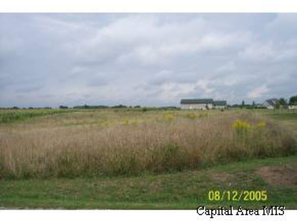 7139 Turkey Run Road Sherman, IL 62684 - Photo 1 of 2 Gallery Image 1