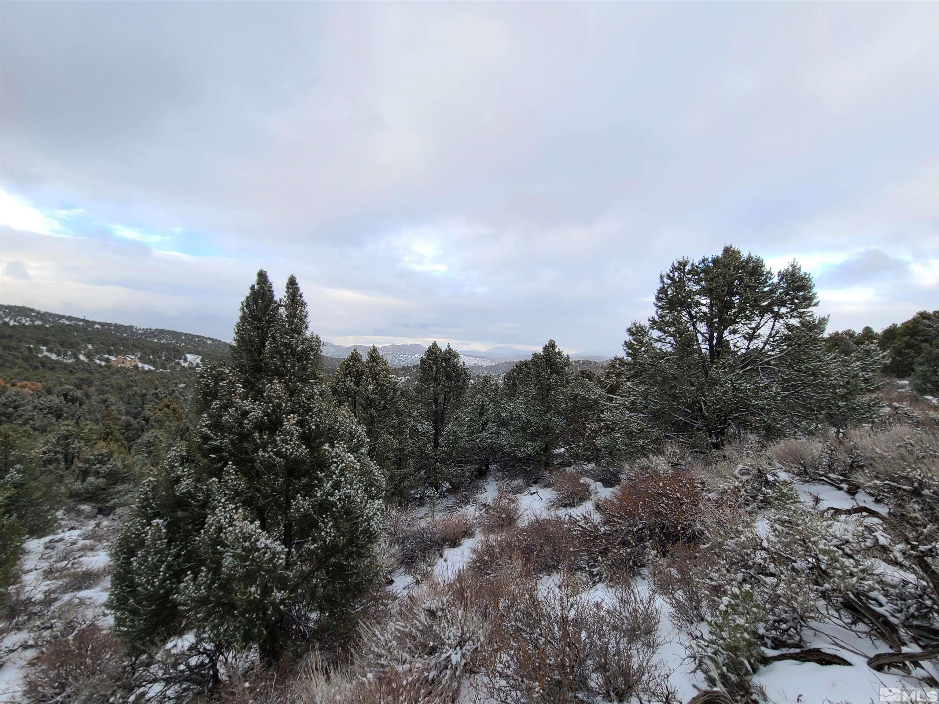 4640 Prospect Road Reno, NV 89521 - Photo 2 of 6 Photo 2