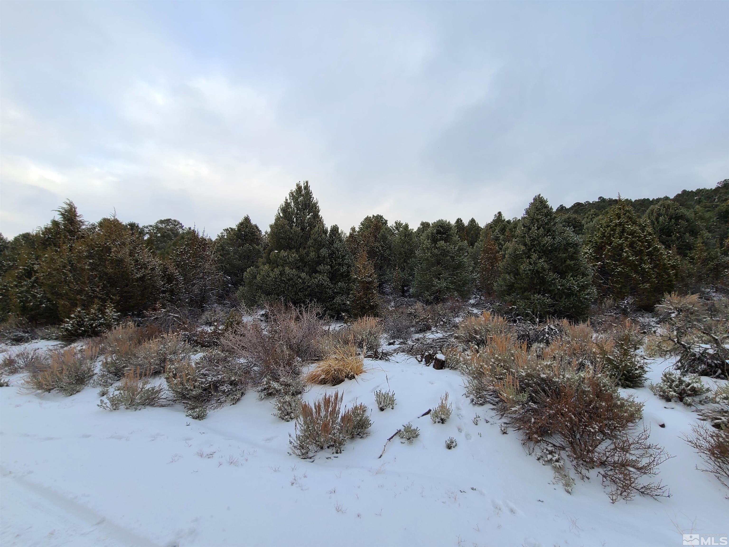 4640 Prospect Road Reno, NV 89521 - Photo 5 of 6 Photo 5