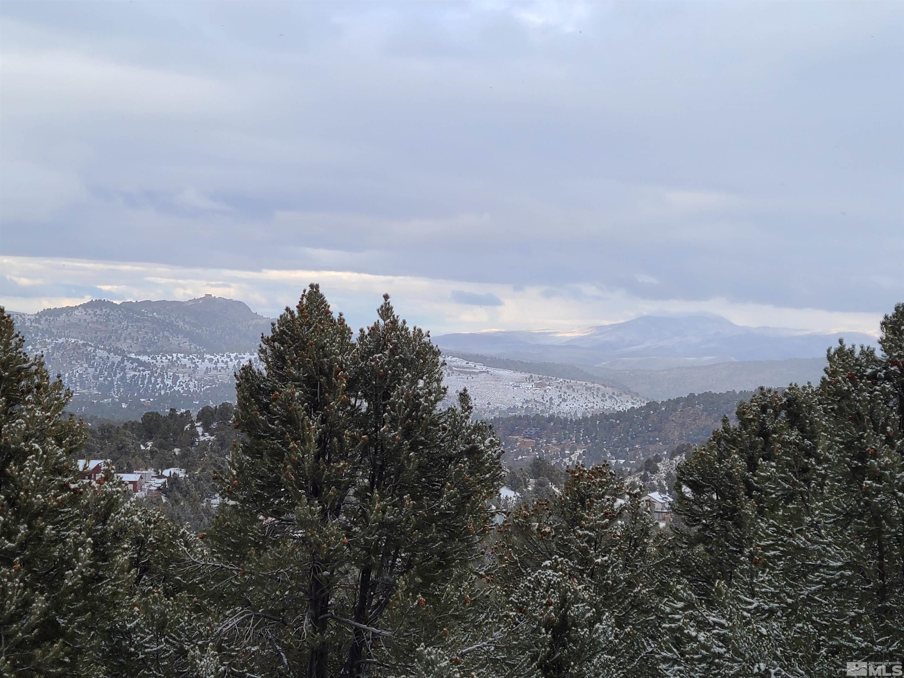 4640 Prospect Road Reno, NV 89521 - Photo 6 of 6 Photo 6