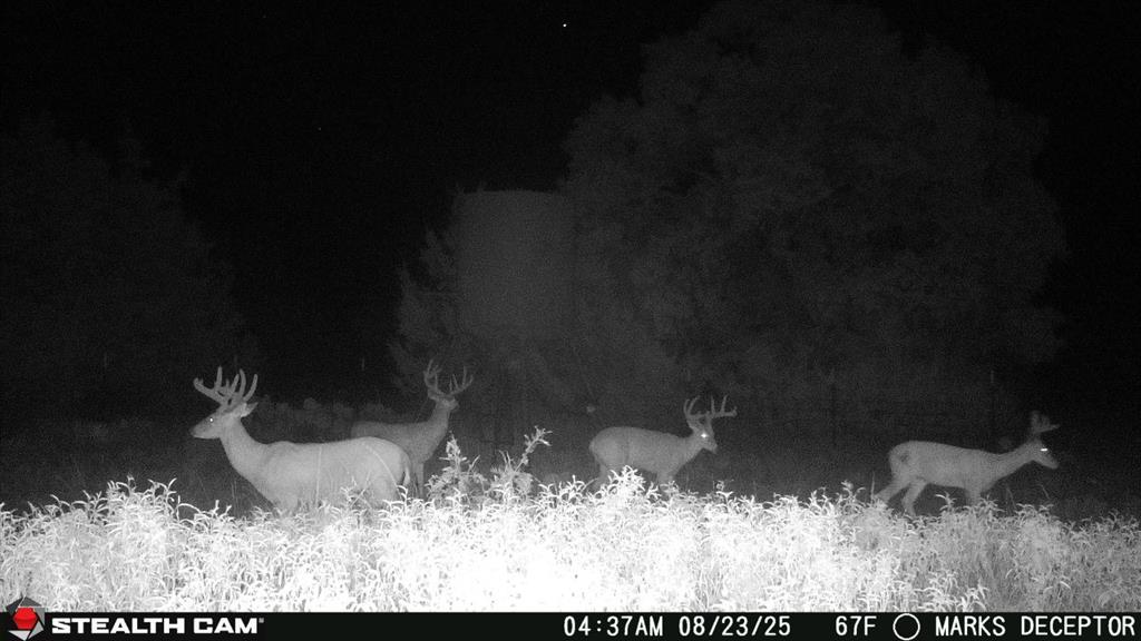 3270 Fm-573 Comanche, TX 76442 - Photo 40 of 40