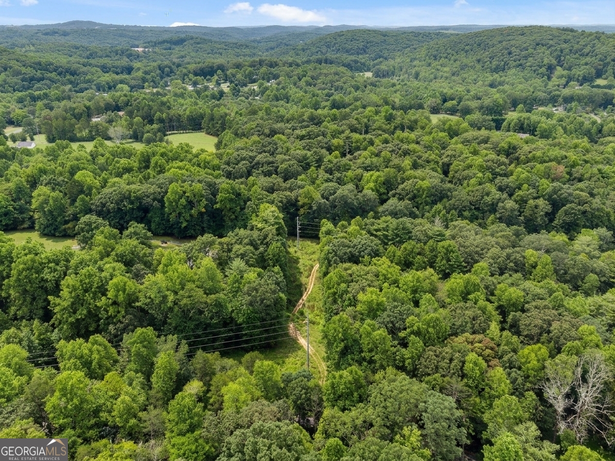 380 Guy Wimpy Road, Unit LOT 2 Dahlonega, GA 30533 - Photo 19 of 23