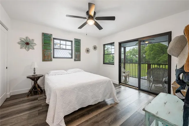 a view of large trees with yard in front of it