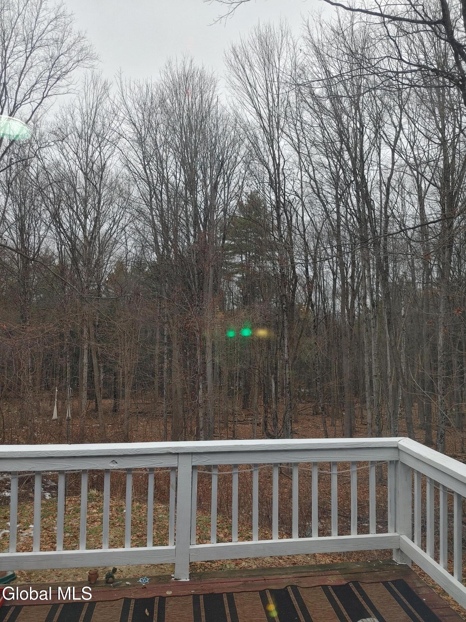 413 Liddle Harris Road Putnam Station, NY 12861 - Photo 2 of 26 1223251118a_HDR