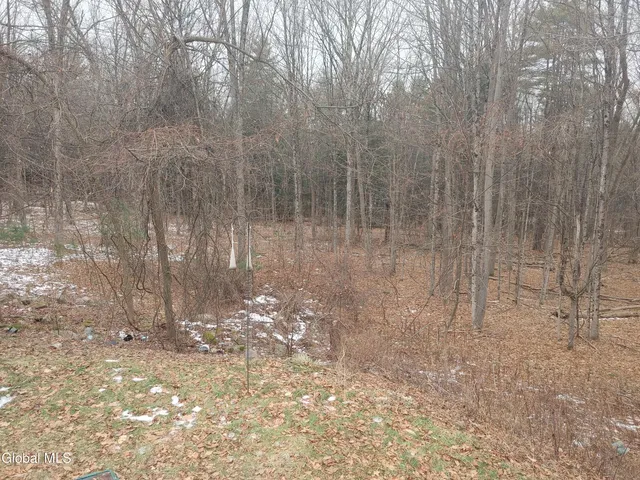 $284,900 | 413 Liddle Harris Road, Putnam Station, NY 12861