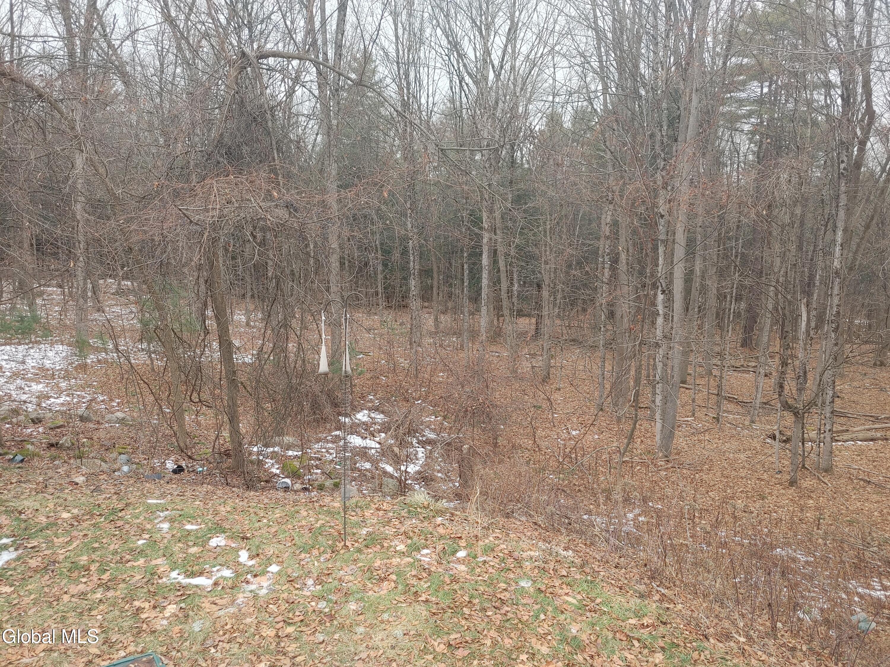 413 Liddle Harris Road Putnam Station, NY 12861 - Photo 5 of 27 1223251119a_HDR