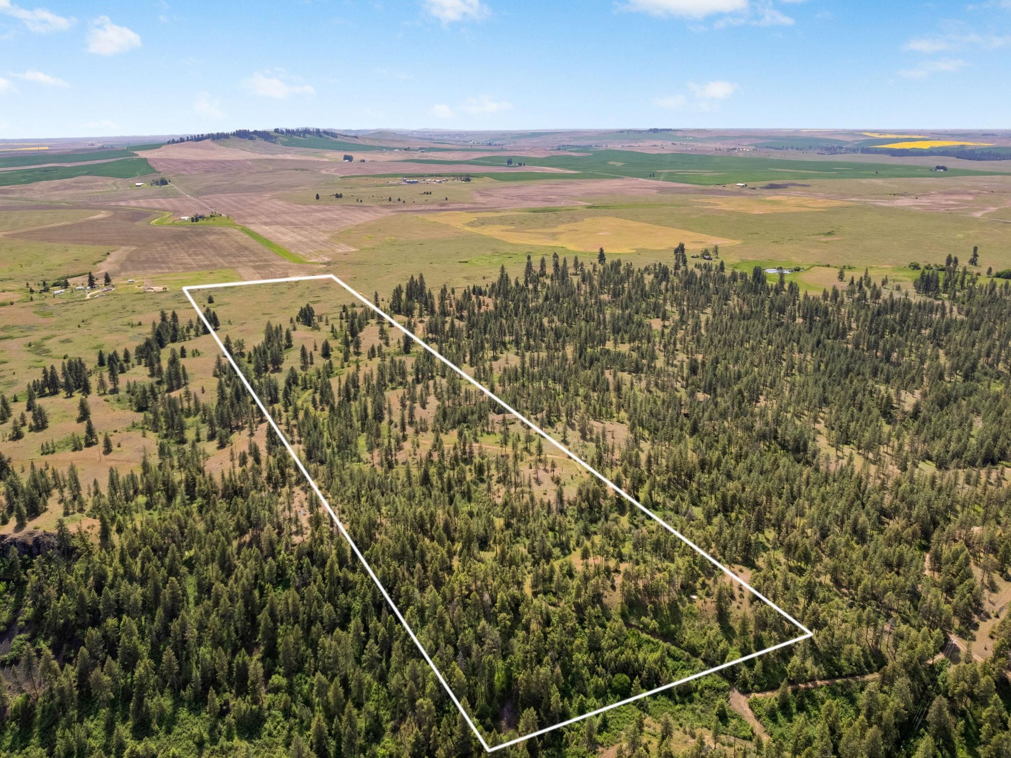 0 West Highland Road Ford, WA 99013 - Photo 4 of 41