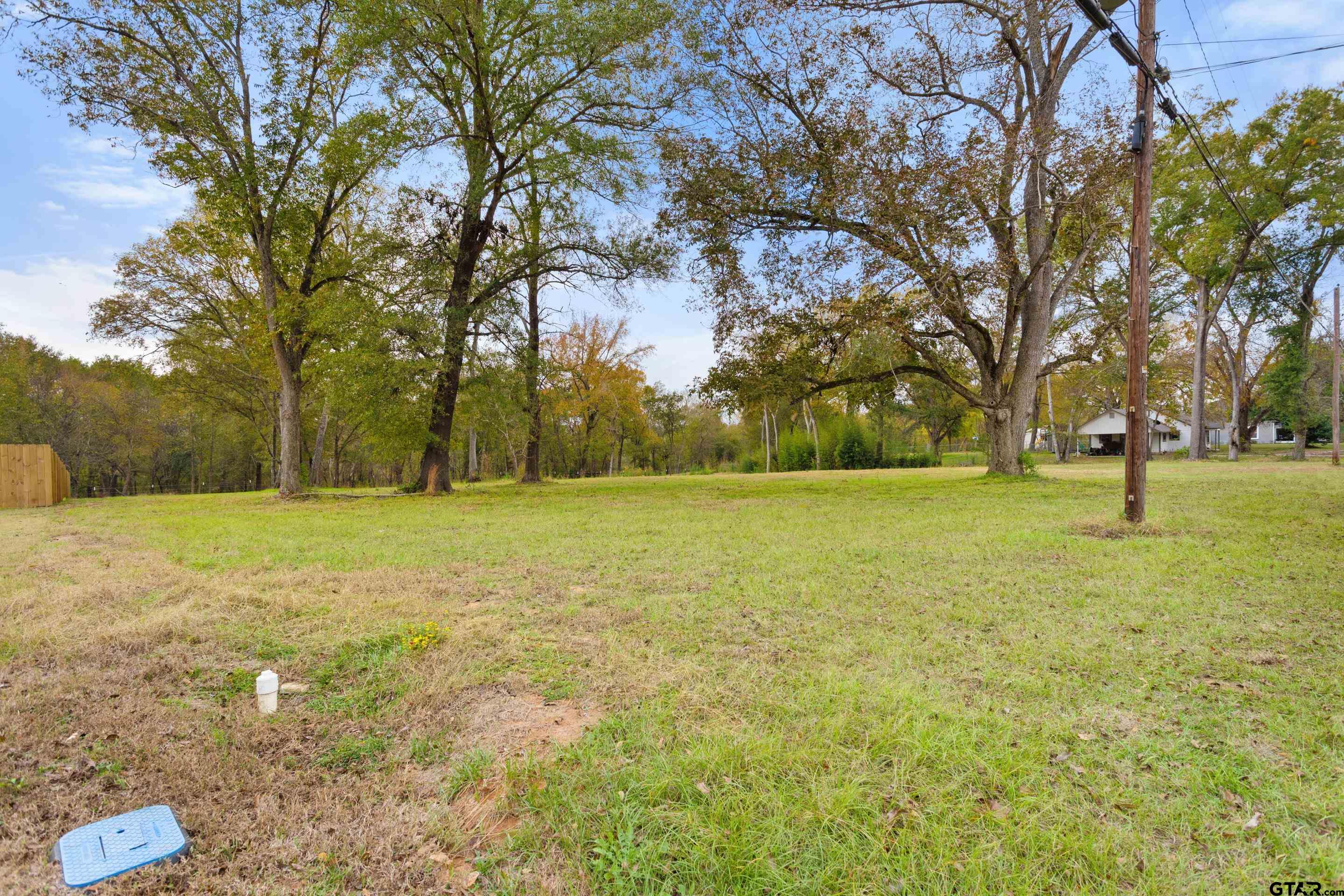 0 Kickapoo Street Frankston, TX 75763 - Photo 6 of 7