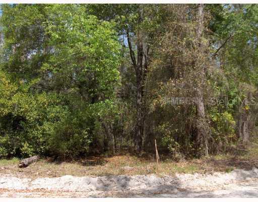 1195 South Beresford Road DeLand, FL 32720 - Photo 1 of 1 Land
