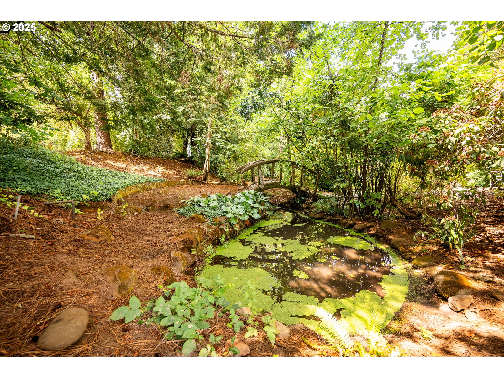 29497 South Meridian Road Hubbard, OR 97032 - Photo 11 of 46