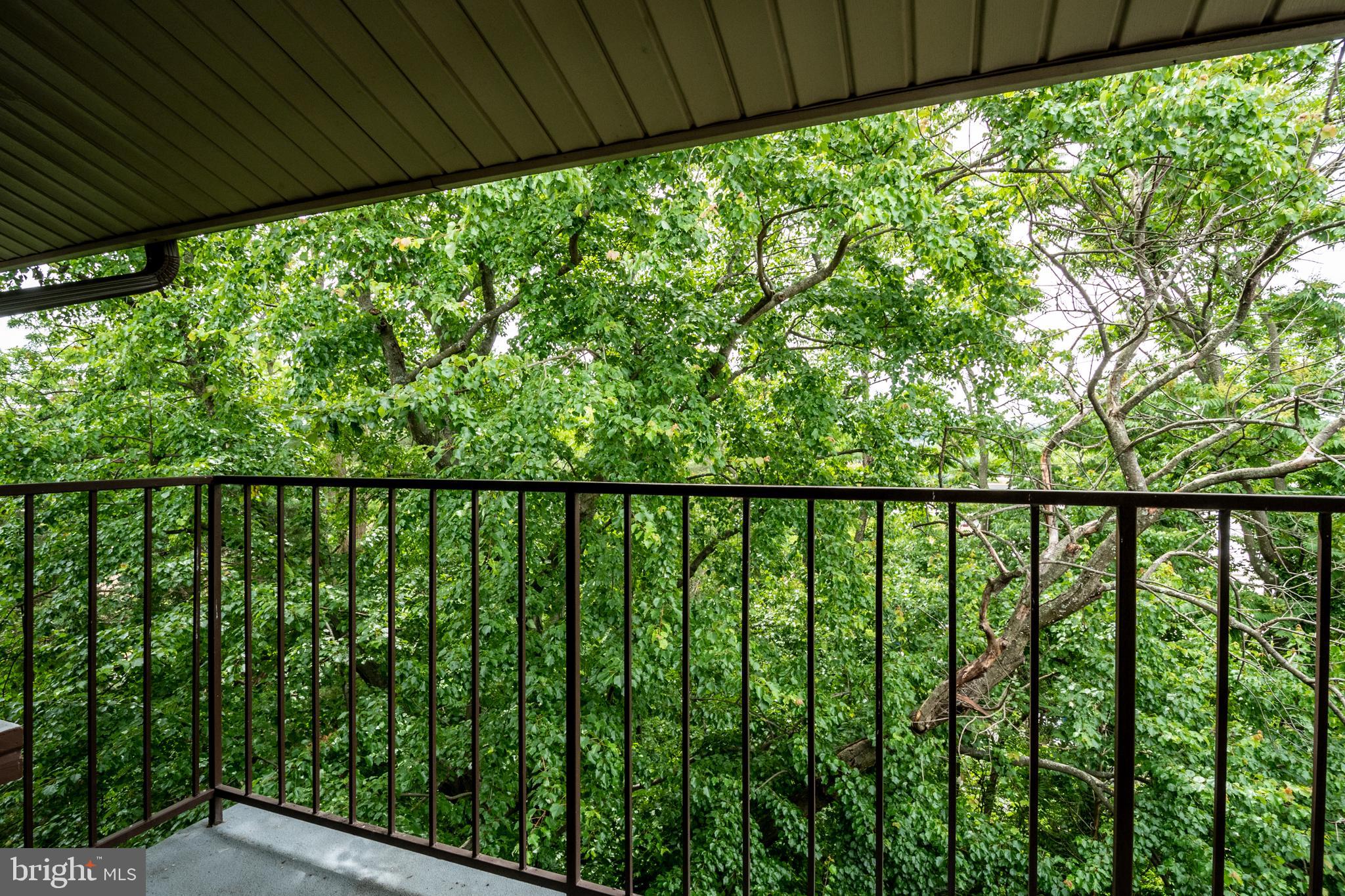 6250 Edsall Road, Unit 403 Alexandria, VA 22312 - Photo 21 of 26