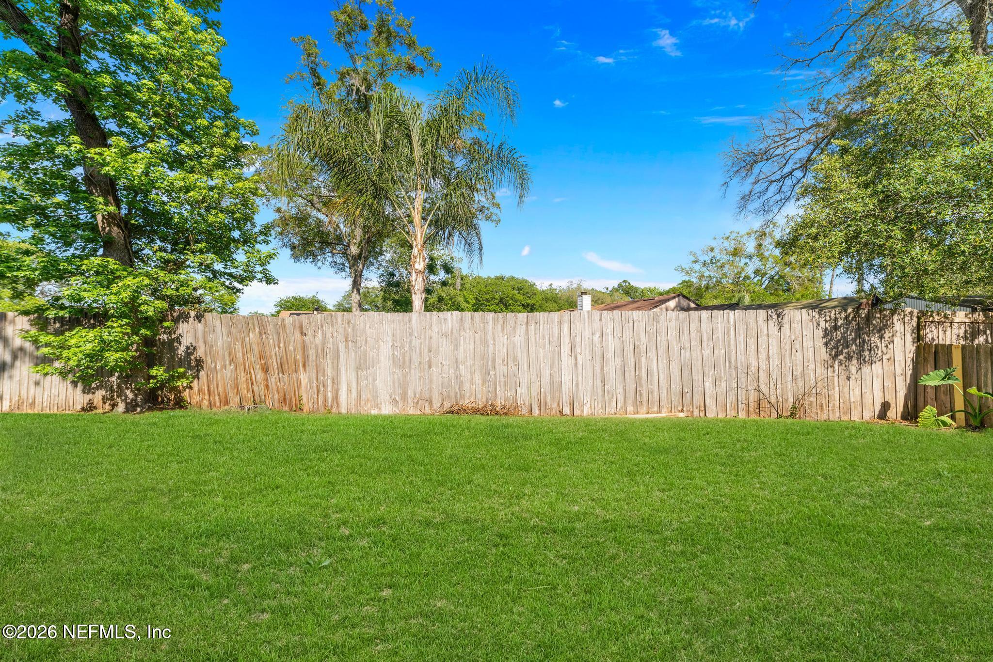 5529 Nettie Road Jacksonville, FL 32207 - Photo 21 of 22 Backyard