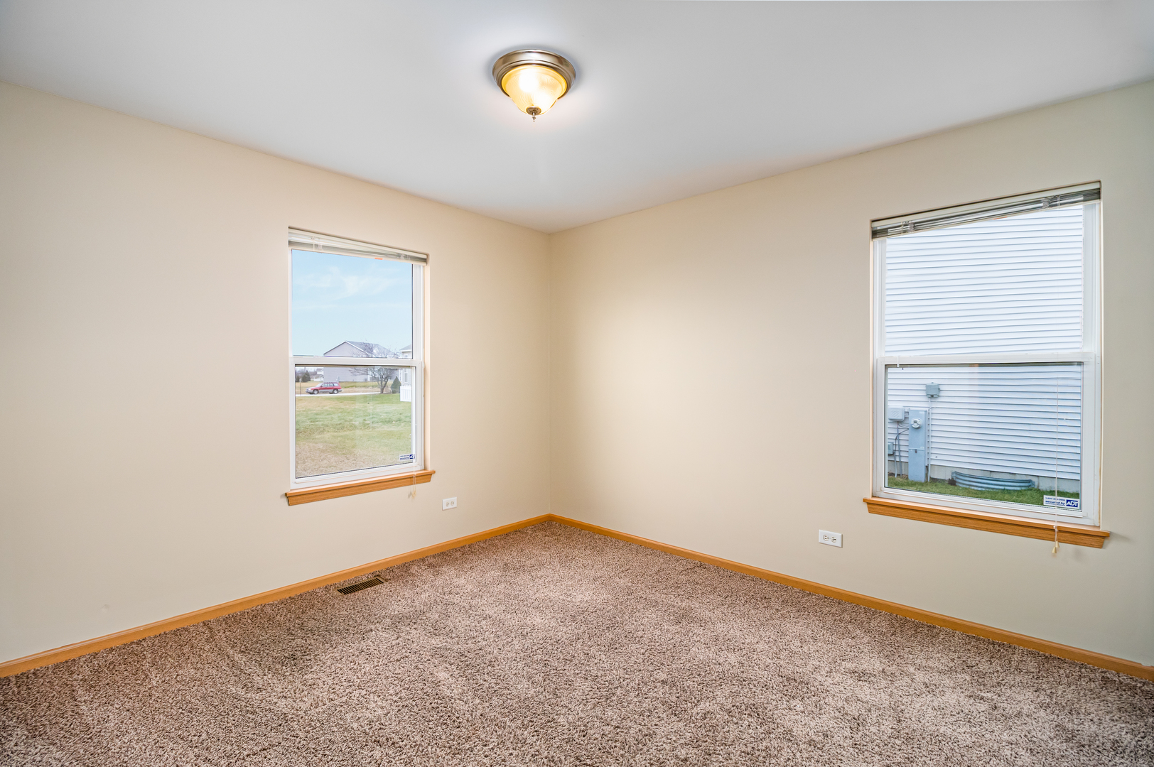 285 Castine Way Beecher, IL 60401 - Photo 12 of 30