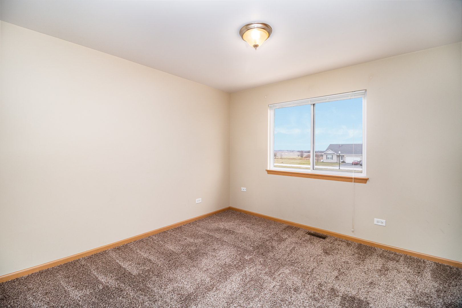 285 Castine Way Beecher, IL 60401 - Photo 14 of 30