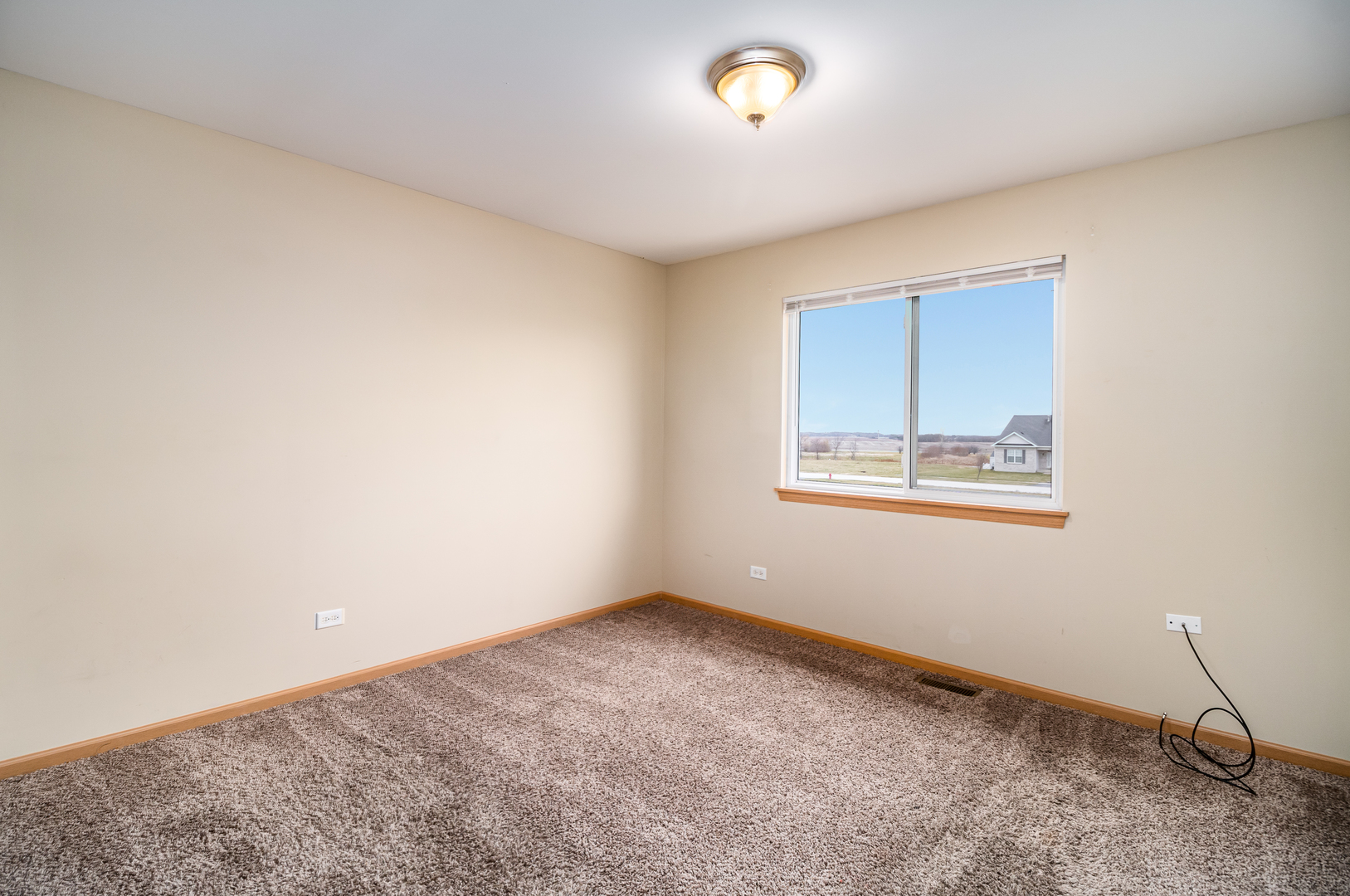 285 Castine Way Beecher, IL 60401 - Photo 16 of 30