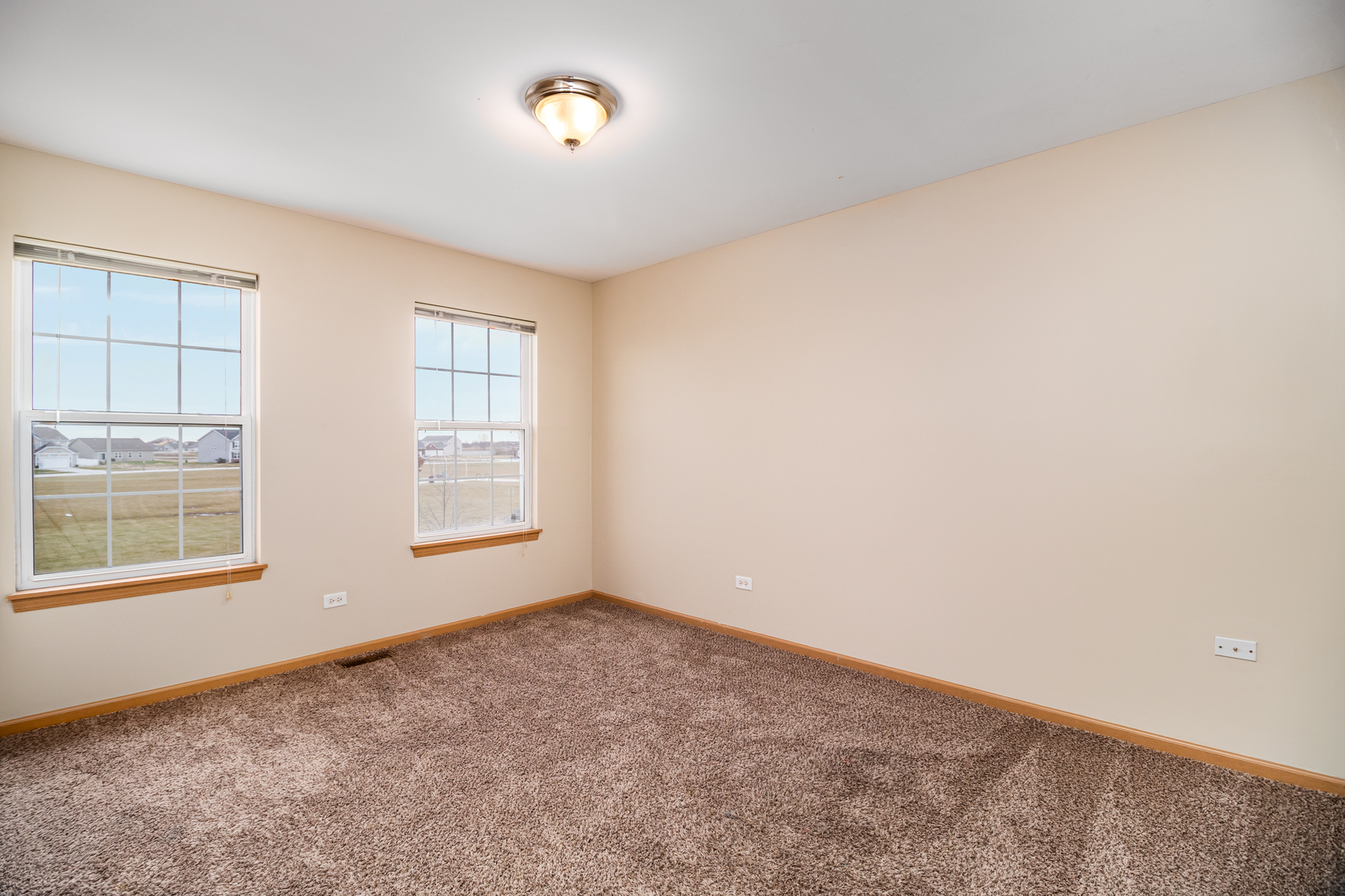 285 Castine Way Beecher, IL 60401 - Photo 19 of 30