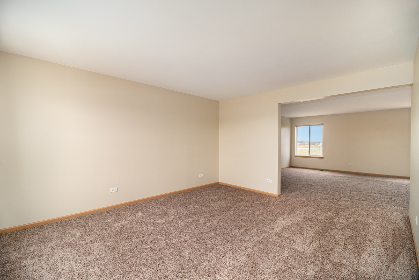 285 Castine Way Beecher, IL 60401 - Photo 3 of 30