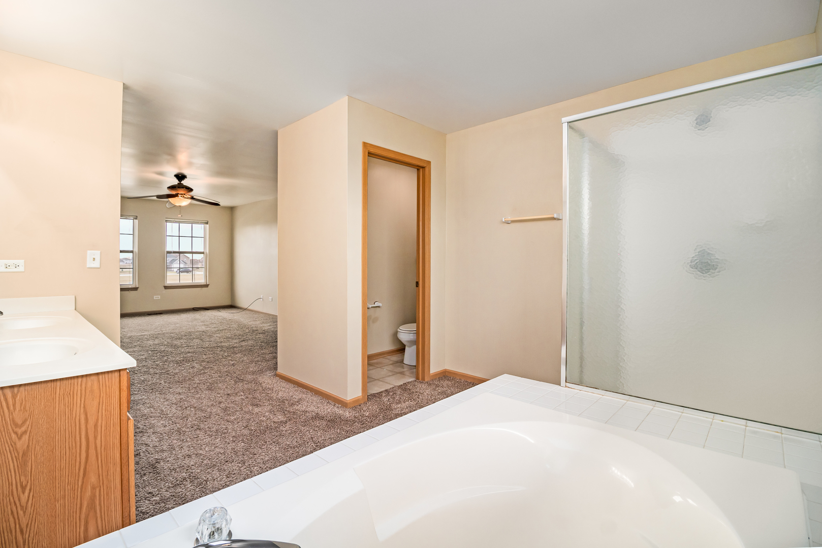 285 Castine Way Beecher, IL 60401 - Photo 27 of 30