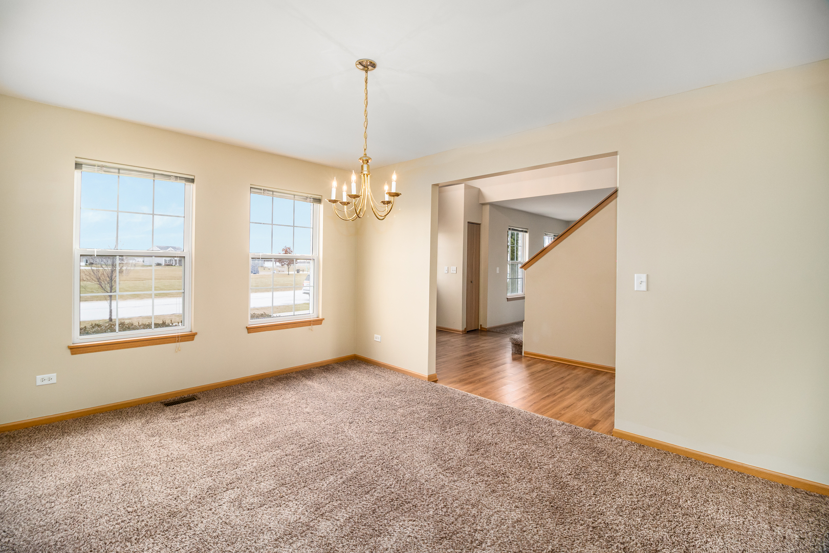 285 Castine Way Beecher, IL 60401 - Photo 4 of 30