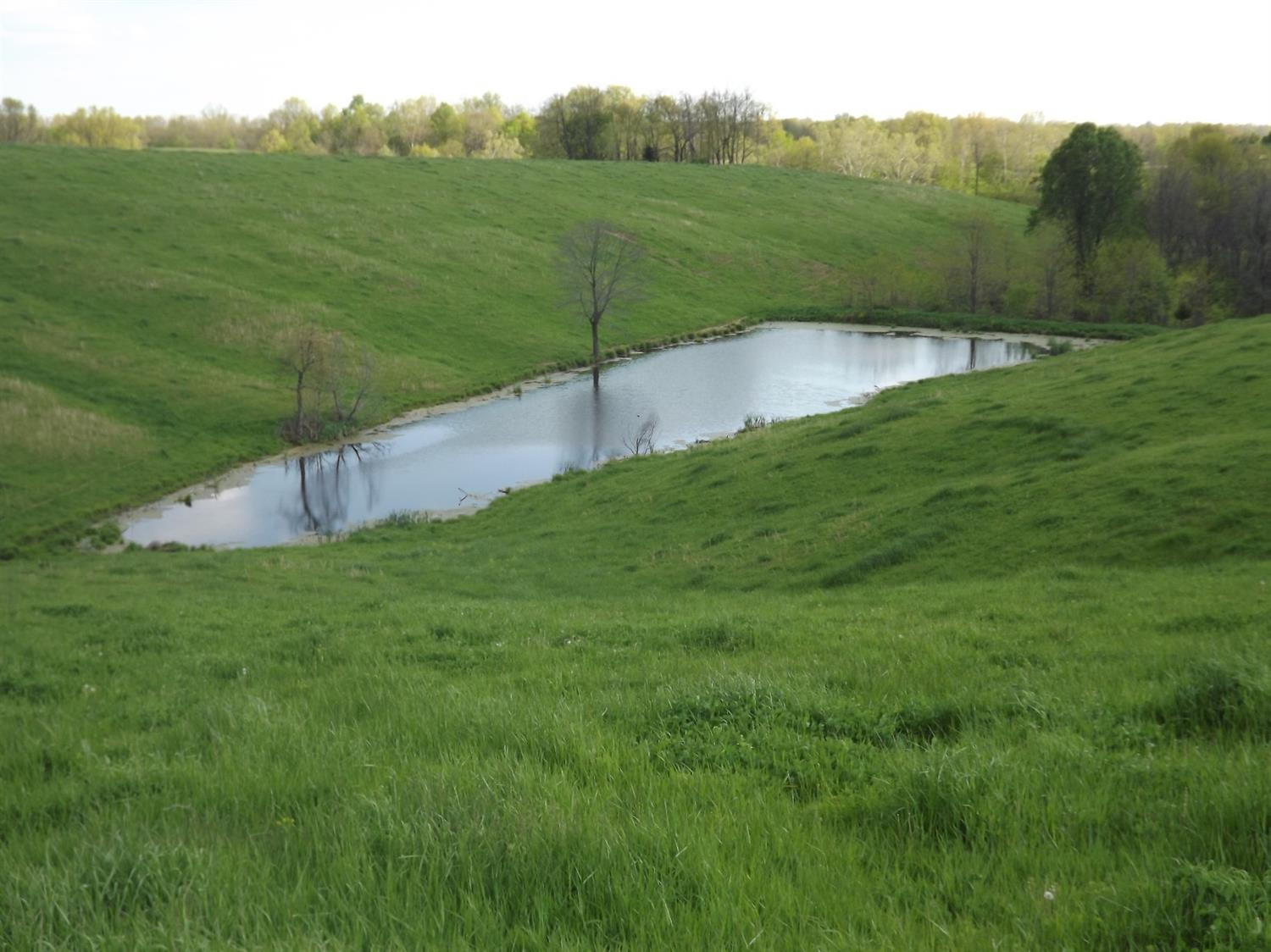 5000 Battle Road Mackville, KY 40040 - Photo 15 of 35 Photo 15