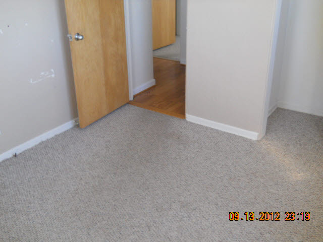 5973 Garfield Road Freeland, MI 48623 - Photo 9 of 11 20102945-8.JPG