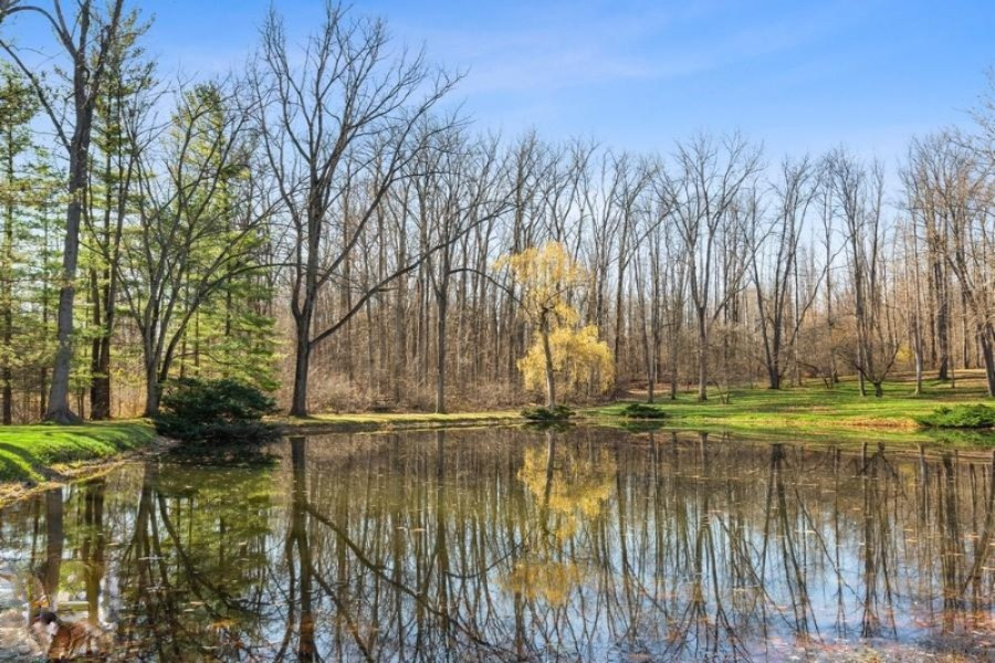 14738 East Wagner Road Buchanan, MI 49107 - Photo 5 of 20 17_14738Wagner_353_Pond_LowRes