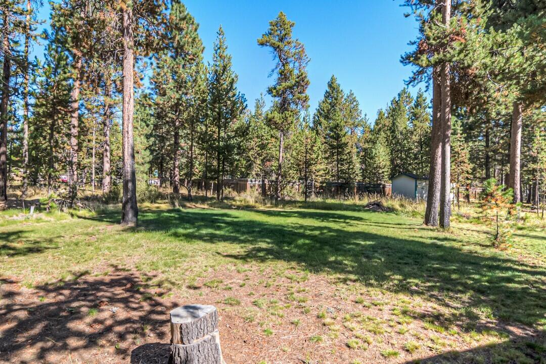 17026 Torrance Road Bend, OR 97707 - Photo 6 of 27 a view of a yard with plants and trees