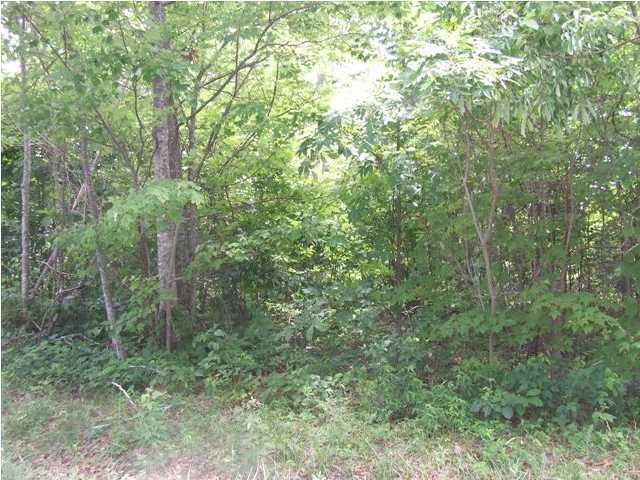 1843 Wheeler Road Dunlap, TN 37327 - Photo 3 of 6 Additional Photo