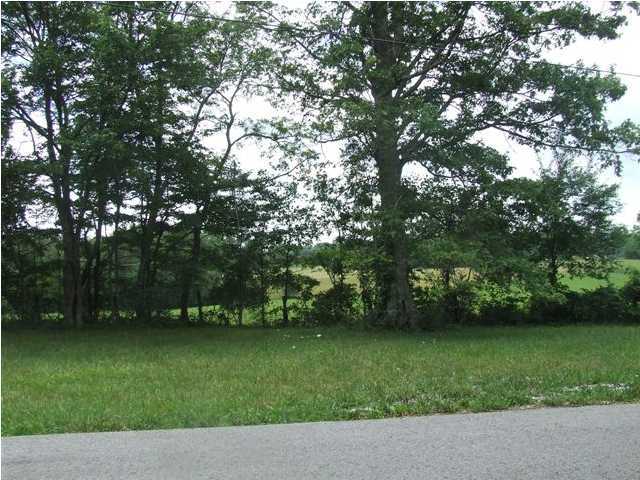 1843 Wheeler Road Dunlap, TN 37327 - Photo 5 of 6 Additional Photo