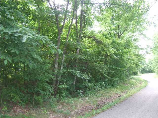 1843 Wheeler Road Dunlap, TN 37327 - Photo 6 of 6 Additional Photo