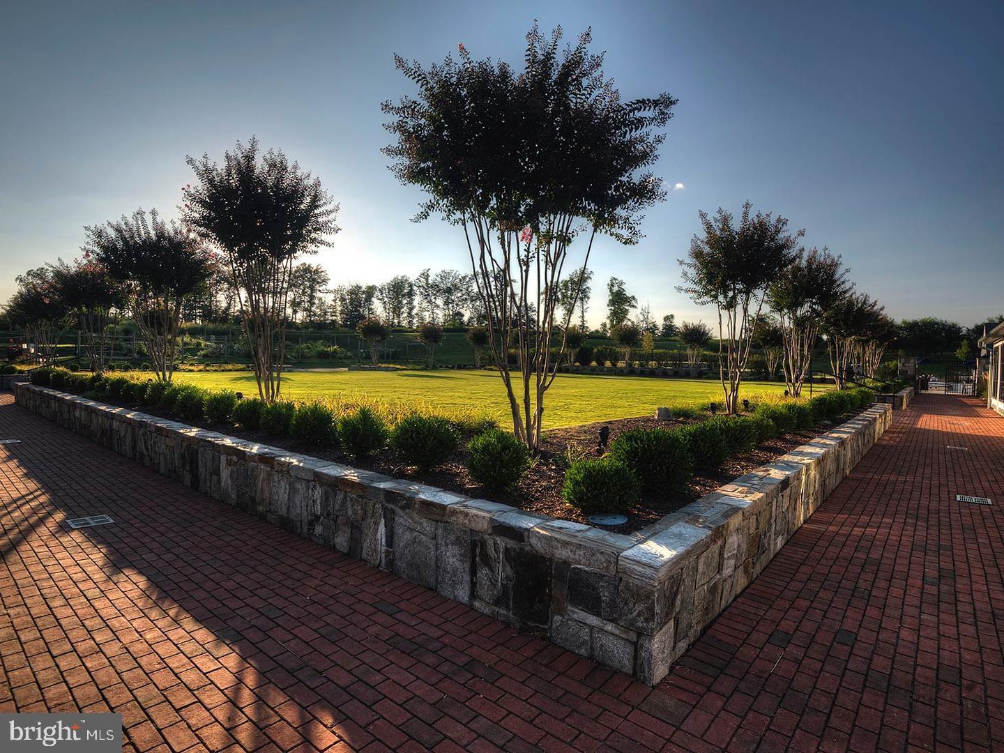 1924 Serviceberry Road Dumfries, VA 22026 - Photo 55 of 86 The event yard