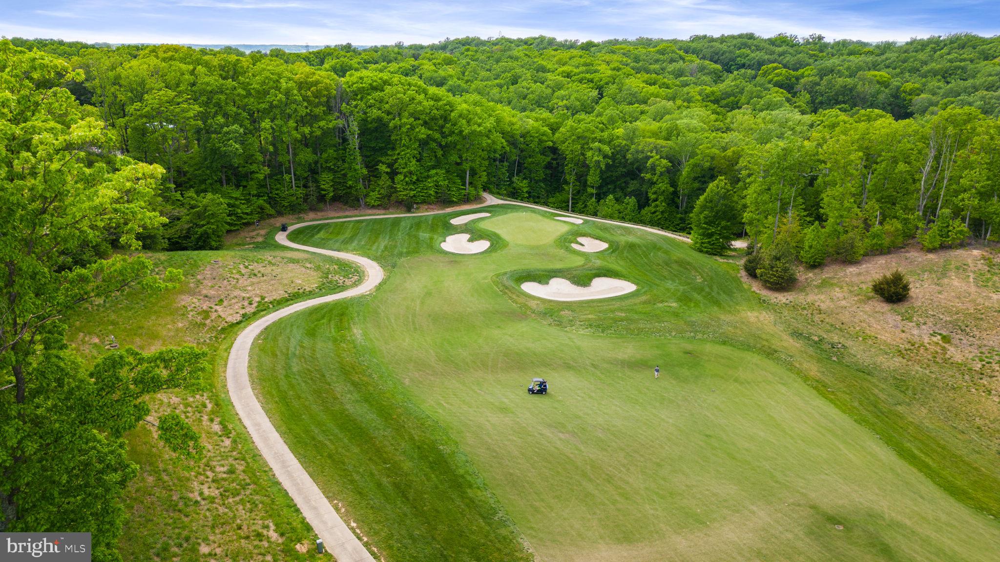 1924 Serviceberry Road Dumfries, VA 22026 - Photo 75 of 86 Are beautiful