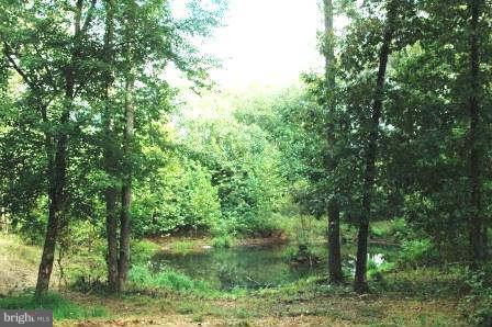 10677 River Road Rixeyville, VA 22737 - Photo 5 of 26 a view of forest