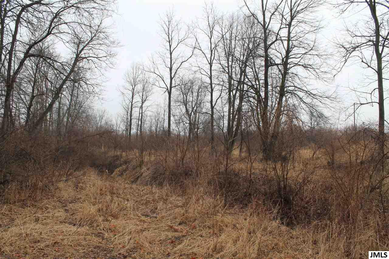 0 County Farm Road Jackson, MI 49201 - Photo 3 of 4 Photo 3