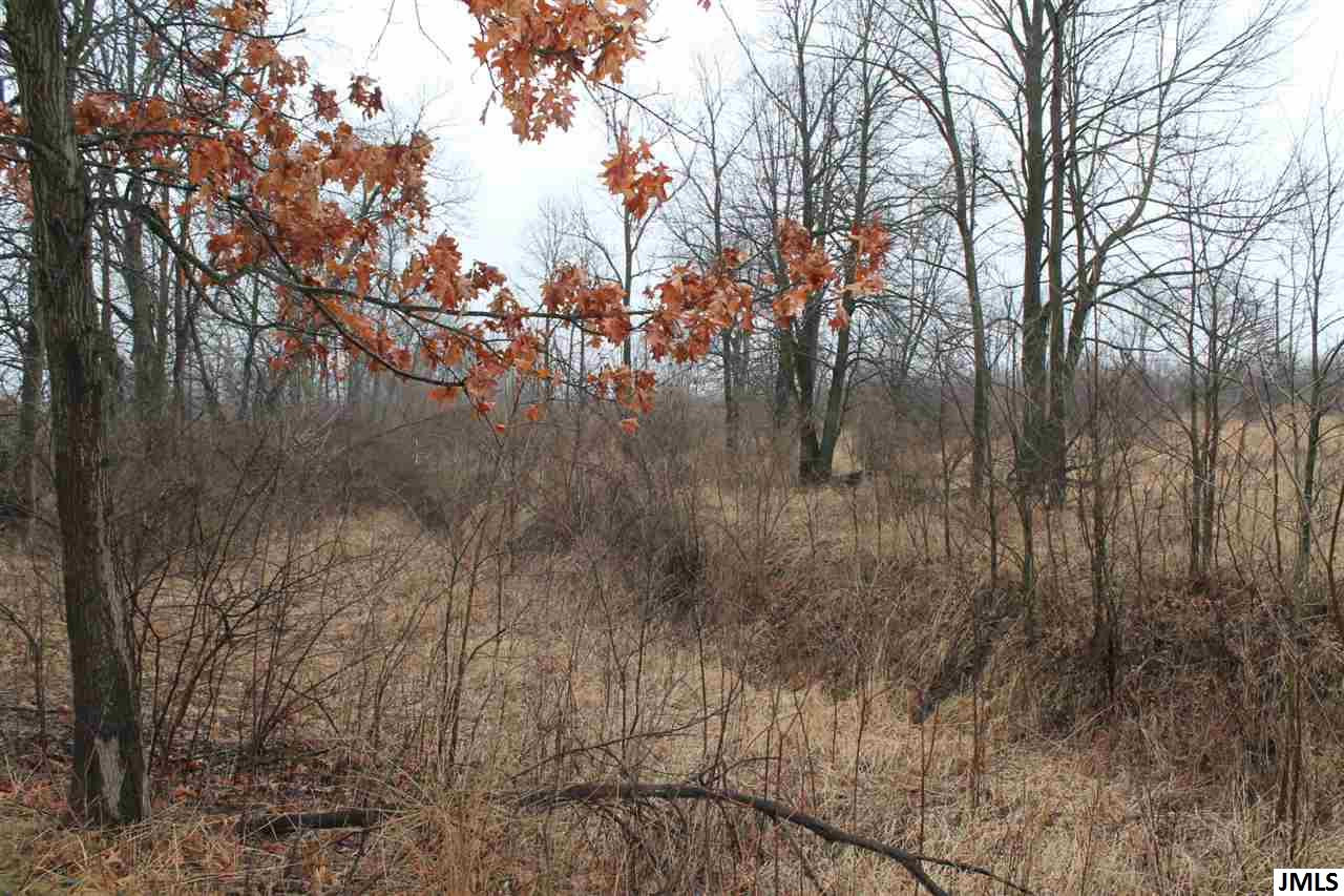 0 County Farm Road Jackson, MI 49201 - Photo 4 of 4 Photo 4
