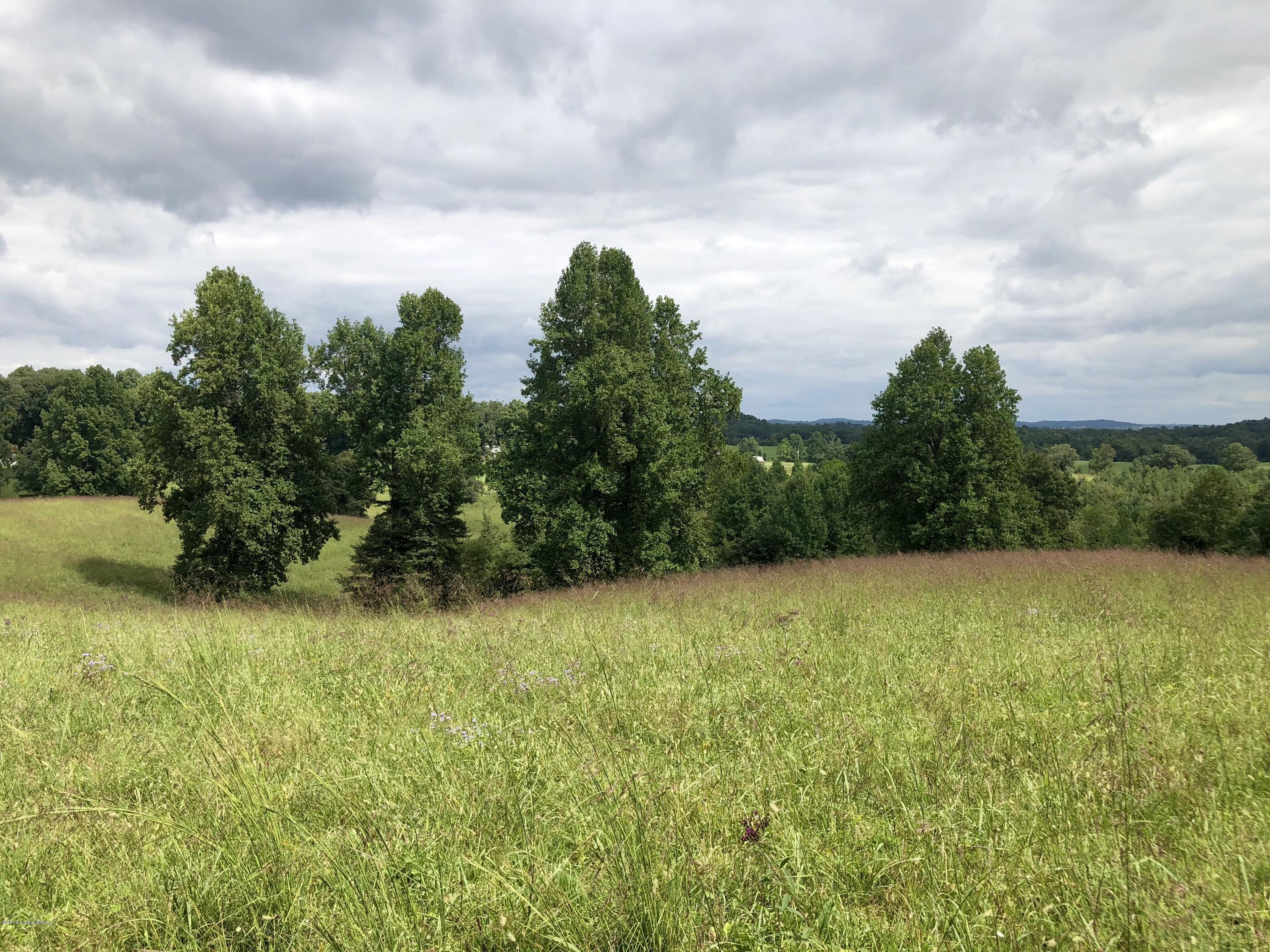 617 North Hopewell Church Road Fordsville, KY 42343 - Photo 113 of 116 113