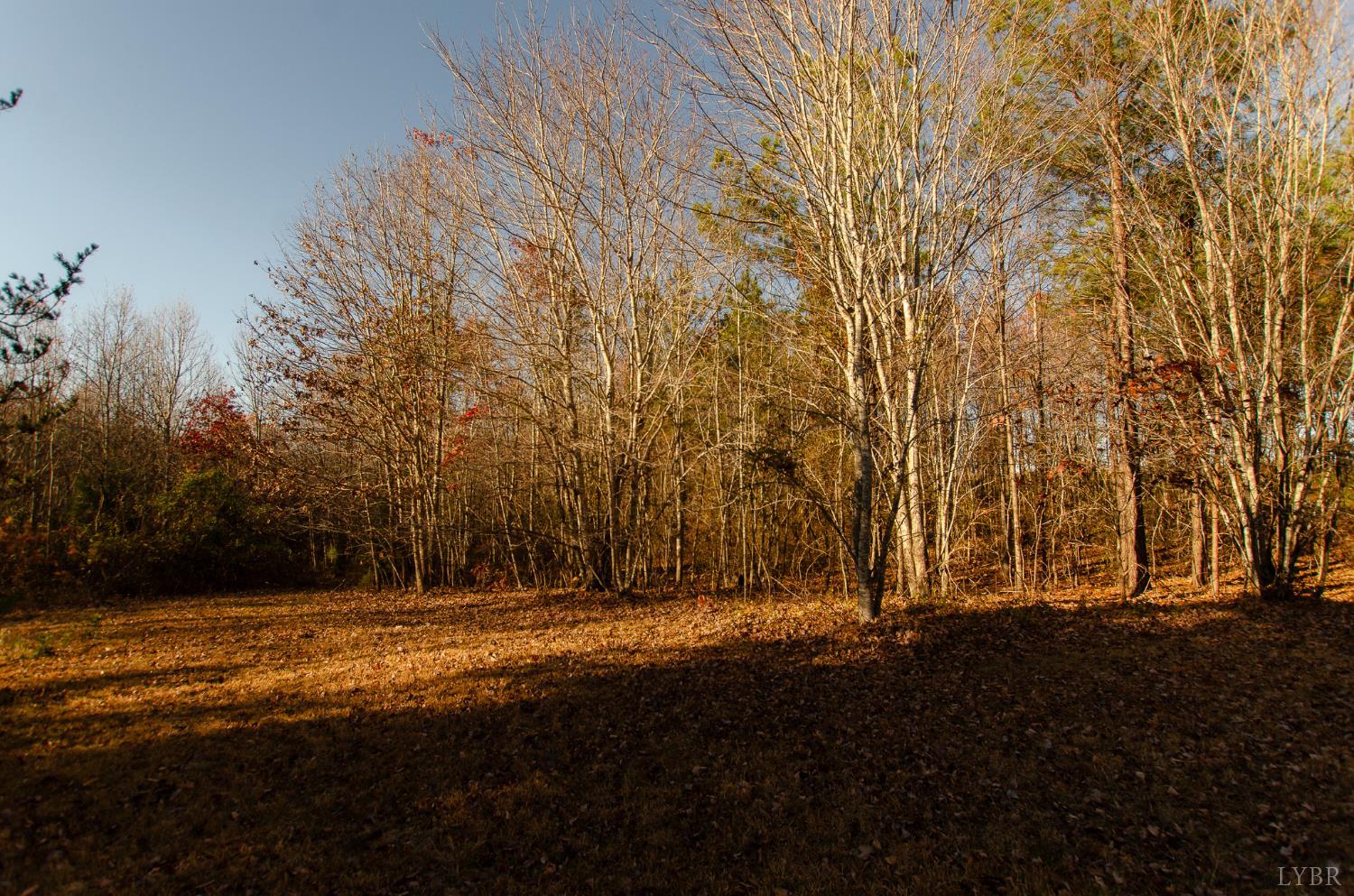 1708 Mud Street Concord, VA 24538 - Photo 39 of 44 a view of outdoor space with deck and yard