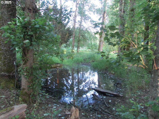 21451 Southeast Webfoot Road Dayton, OR 97114 - Photo 30 of 39 Gallery Image 30