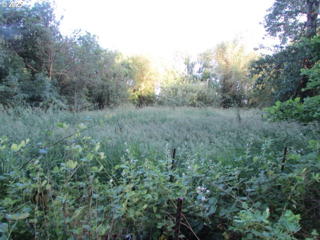 21451 Southeast Webfoot Road Dayton, OR 97114 - Photo 31 of 39 Gallery Image 31