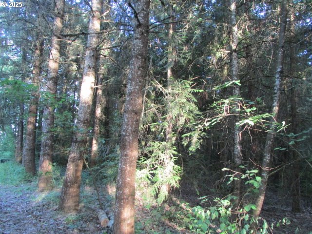 21451 Southeast Webfoot Road Dayton, OR 97114 - Photo 32 of 39 Gallery Image 32