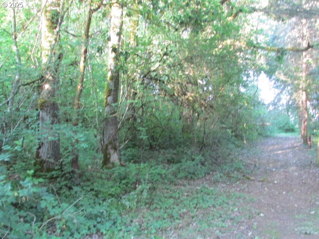 21451 Southeast Webfoot Road Dayton, OR 97114 - Photo 33 of 39 Gallery Image 33