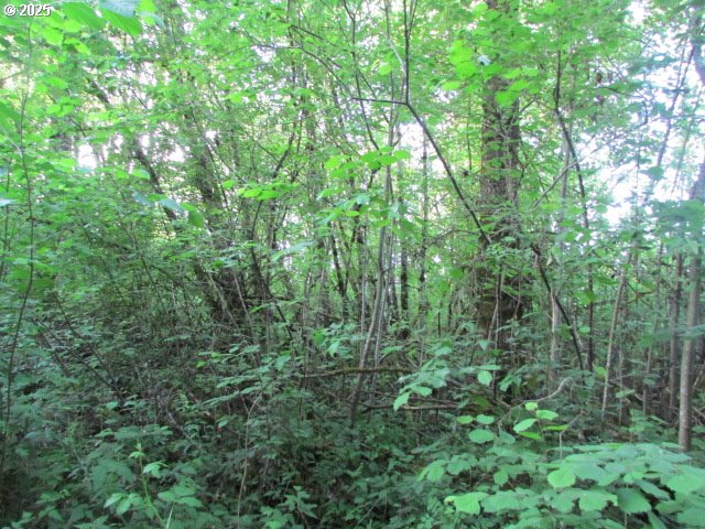 21451 Southeast Webfoot Road Dayton, OR 97114 - Photo 34 of 39 Gallery Image 34