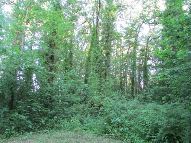 21451 Southeast Webfoot Road Dayton, OR 97114 - Photo 35 of 39 Gallery Image 35