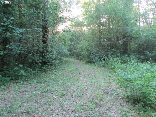 21451 Southeast Webfoot Road Dayton, OR 97114 - Photo 36 of 39 Gallery Image 36
