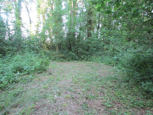 21451 Southeast Webfoot Road Dayton, OR 97114 - Photo 37 of 39 Gallery Image 37